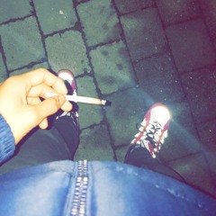 Fly