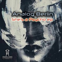 analog Berlin