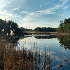 To My Daughter, Strength