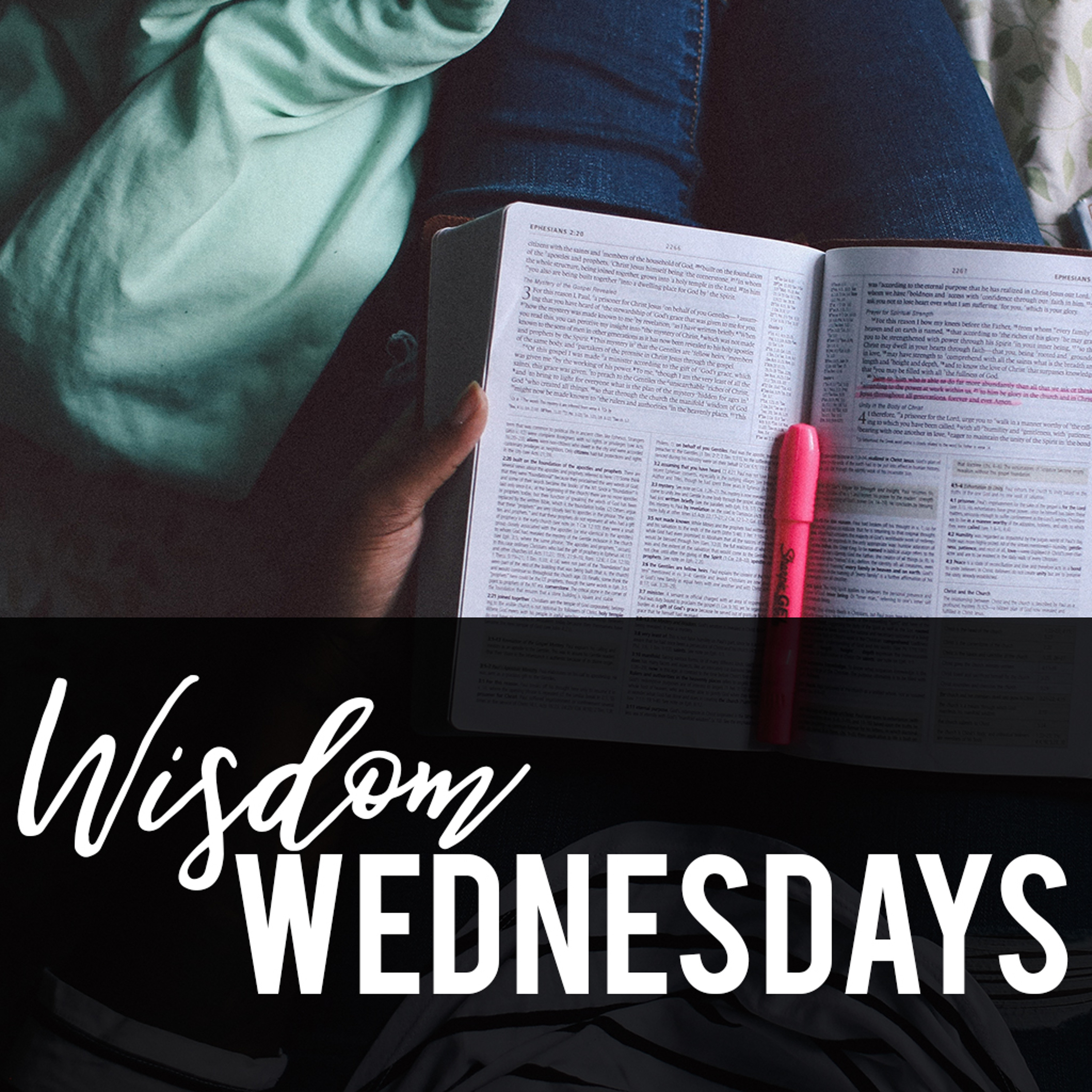 1-10-18w - Josh Pennington - Wisdom Wednesdays - Overview episode artwork