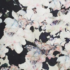 Elephant Gun Beirut (Cover)