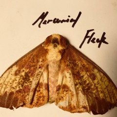 Mercurial Fleck (For Wind Ensemble)