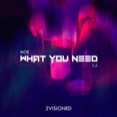 "What You Need" - 2VISIONED