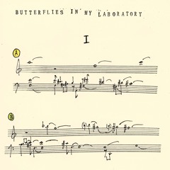 Butterflies In My Laboratory