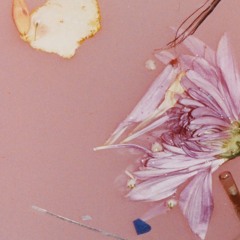 from the dining table