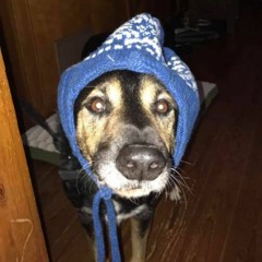 Cold Black Coffee Demo