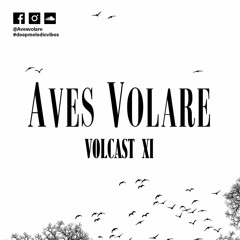 VOLCAST XI - Planet ibiza Mix