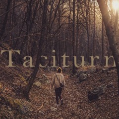 Taciturn - Faster! Friends, Faster!