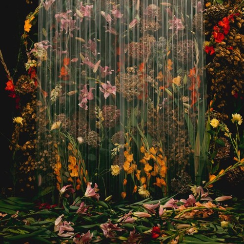 lorde - writer in the dark
