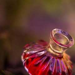 DopeMind - Secret Potion 210 (Toadstool Master)