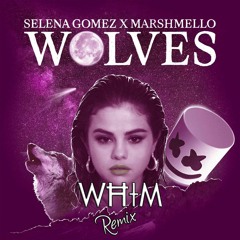 Selena Gomez & Marshmello - Wolves (HEMIS Remix)