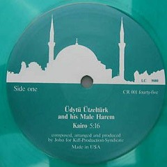 Üdytü Ützeltürk And His Male Harem - Kairo