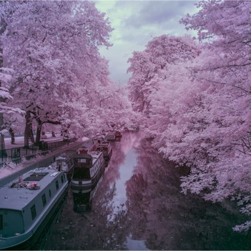 Deep House Yoga - Therapy Session 5