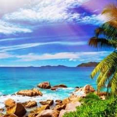 TEN NIL - Chris Young X DMP X Arak X Sio (SOLO MUSIC 2018)