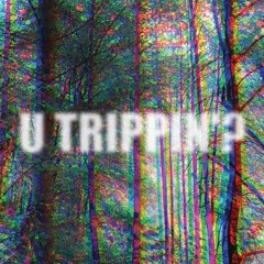 T R I P P I N (Prod. A On The Beat) [PREVIEW]