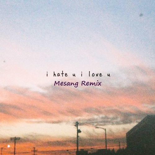 i hate u, i love u (Mesang Remix)