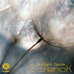 Mudra podcast / Zarenok - Sunlight Spots [MM64]