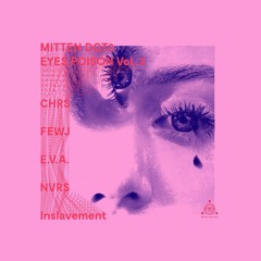 Mitten DGT3 - CHRS, FEWJ, E.V.A. , NVRS, Inslavement