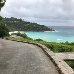 لون الظما-ميحد حمد