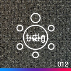 turtletheory - [012]