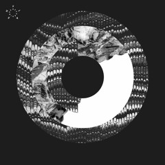 INSEKT [Tim Xavier Remix]