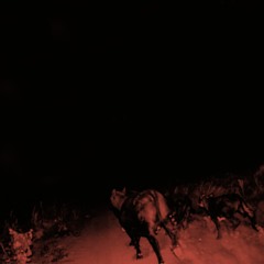 Bambara - Doe-Eyed Girl - From the "Shadow On Everything" lp