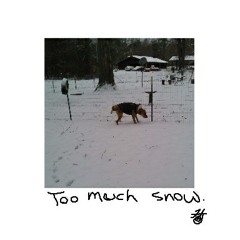 Too much snow .mp3