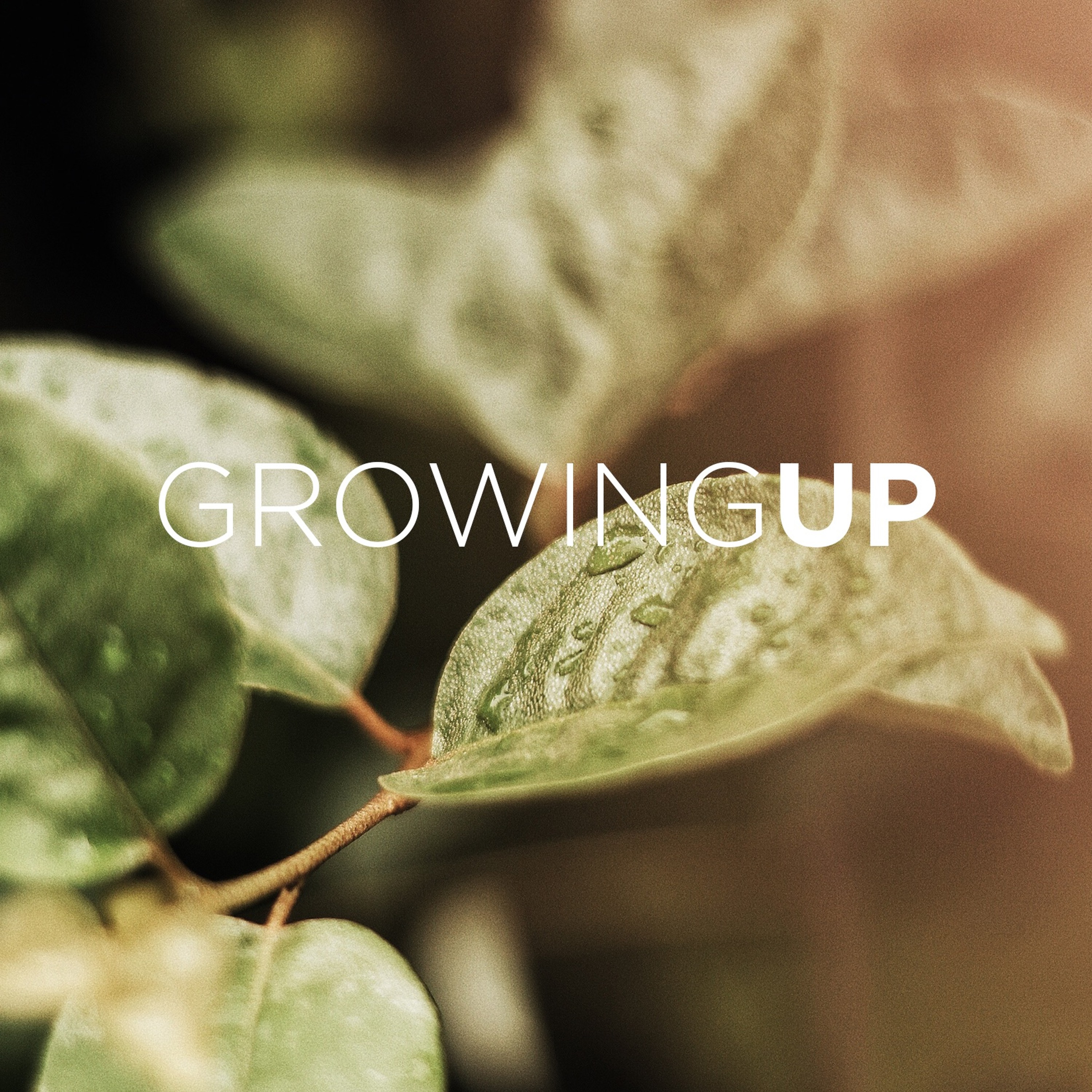 Growing Up: How To Develop A Fit Faith 2018.01.14 episode artwork