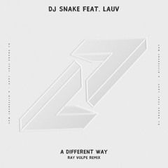 DJ Snake - A Different Way (Ray Volpe Remix)