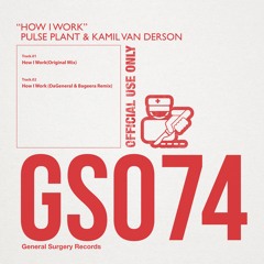 GS074 : Pulse Plant & Kamil Van Derson - How I Work (Original Mix)