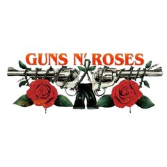 Guns n' Roses (acoustic live)
