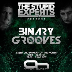 The Stupid Experts - Binary Grooves (AH.FM)