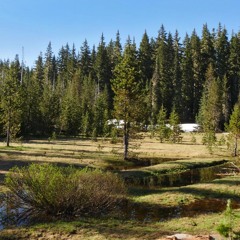 Meltwater Dawn Chorus