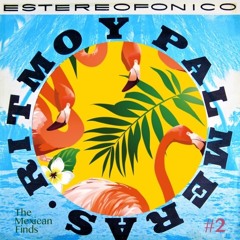 RITMO Y PALMERAS:  Record Finds In Mexico Pt. 2 (The Tropical Side)