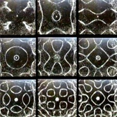 1er Jour Digitakt & Korg Monologue  --  Volca Kick  + Fx' Ableton Live 8  M.888