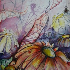 Bronco- Butterfly Status