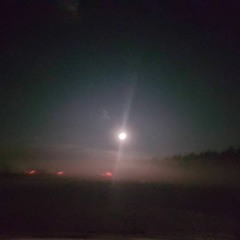 I Trust This River Will Carry Me Home