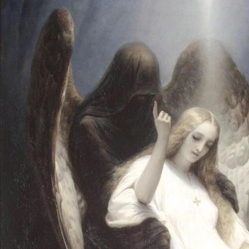 ///SCR4M///VHSR4V///