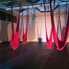 Hypnapod - 2018 Installation QVMAG, Launceston