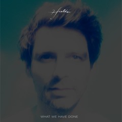 What We Have Done (Niklas Ibach Remix)