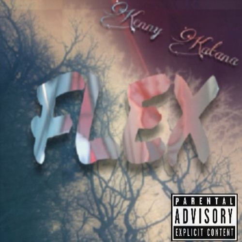 FLEX (Prod. TREETIME)