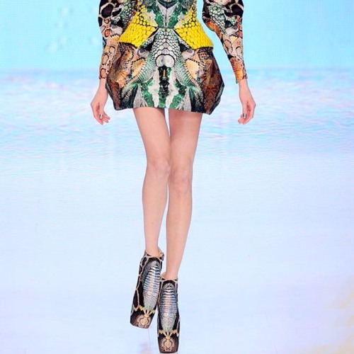 alexander mcqueen plato's atlantis