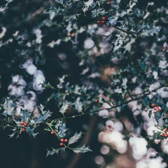 Rescue Instrumental