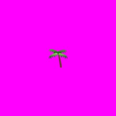 Miami, FL (prod. Abel Petit)