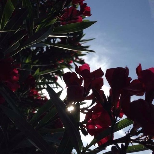 Oasis - All Around The World (1992 Rehearsal) (Full)