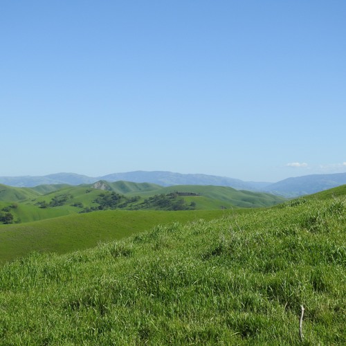 Cedar - Transcendant Spheres