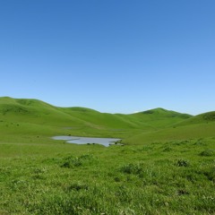 Mastermind - Full Moon