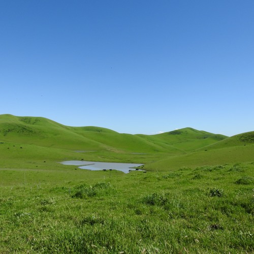 Mastermind - Full Moon