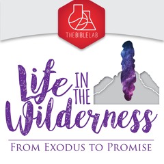 Episode 15: TheBibleLab Podcast