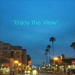 Enjoy The View *Day 8*